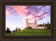 Load image into Gallery viewer, Manti Cotton Candy

