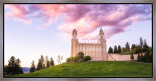 Load image into Gallery viewer, Manti Cotton Candy
