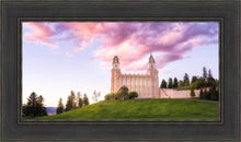 Load image into Gallery viewer, Manti Cotton Candy
