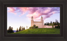 Load image into Gallery viewer, Manti Cotton Candy
