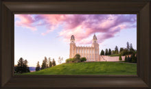 Load image into Gallery viewer, Manti Cotton Candy
