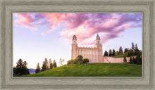 Load image into Gallery viewer, Manti Cotton Candy
