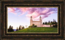 Load image into Gallery viewer, Manti Cotton Candy
