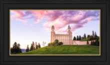 Load image into Gallery viewer, Manti Cotton Candy
