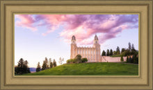 Load image into Gallery viewer, Manti Cotton Candy
