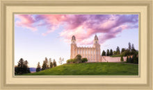 Load image into Gallery viewer, Manti Cotton Candy
