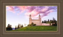 Load image into Gallery viewer, Manti Cotton Candy

