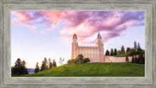 Load image into Gallery viewer, Manti Cotton Candy
