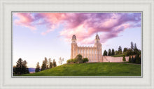 Load image into Gallery viewer, Manti Cotton Candy
