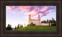 Load image into Gallery viewer, Manti Cotton Candy
