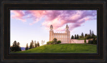 Load image into Gallery viewer, Manti Cotton Candy
