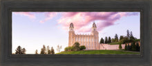 Load image into Gallery viewer, Manti Cotton Candy
