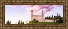 Load image into Gallery viewer, Manti Cotton Candy

