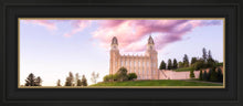 Load image into Gallery viewer, Manti Cotton Candy
