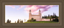 Load image into Gallery viewer, Manti Cotton Candy
