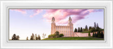 Load image into Gallery viewer, Manti Cotton Candy
