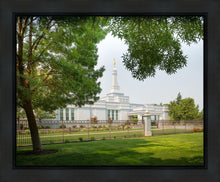 Load image into Gallery viewer, Medford Daydream
