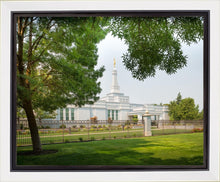 Load image into Gallery viewer, Medford Daydream
