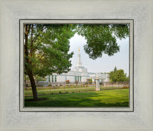 Load image into Gallery viewer, Medford Daydream
