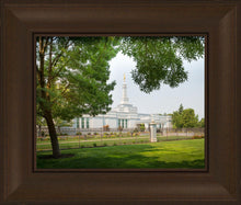 Load image into Gallery viewer, Medford Daydream

