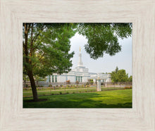 Load image into Gallery viewer, Medford Daydream
