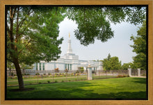 Load image into Gallery viewer, Medford Daydream
