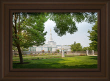 Load image into Gallery viewer, Medford Daydream
