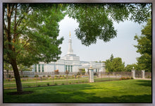 Load image into Gallery viewer, Medford Daydream
