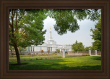 Load image into Gallery viewer, Medford Daydream
