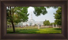 Load image into Gallery viewer, Medford Daydream
