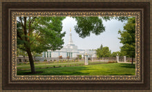 Load image into Gallery viewer, Medford Daydream
