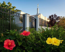 Load image into Gallery viewer, Memphis Flowers
