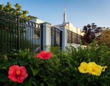 Load image into Gallery viewer, Memphis Flowers
