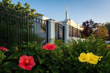 Load image into Gallery viewer, Memphis Flowers
