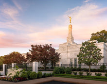 Load image into Gallery viewer, Memphis Morning
