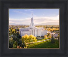 Load image into Gallery viewer, Golden Timpanogos
