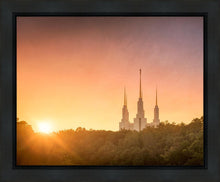 Load image into Gallery viewer, Washington DC Sunset Gold
