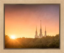 Load image into Gallery viewer, Washington DC Sunset Gold
