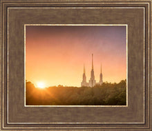 Load image into Gallery viewer, Washington DC Sunset Gold
