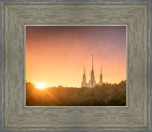 Load image into Gallery viewer, Washington DC Sunset Gold
