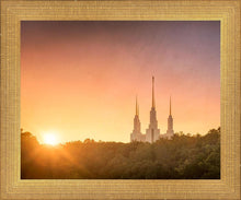 Load image into Gallery viewer, Washington DC Sunset Gold
