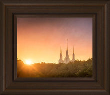 Load image into Gallery viewer, Washington DC Sunset Gold
