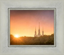 Load image into Gallery viewer, Washington DC Sunset Gold
