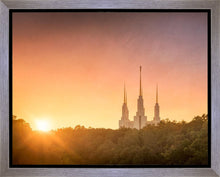 Load image into Gallery viewer, Washington DC Sunset Gold
