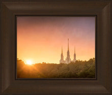 Load image into Gallery viewer, Washington DC Sunset Gold
