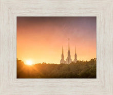 Load image into Gallery viewer, Washington DC Sunset Gold
