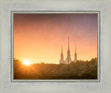 Load image into Gallery viewer, Washington DC Sunset Gold
