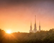 Load image into Gallery viewer, Washington DC Sunset Gold
