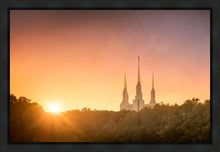 Load image into Gallery viewer, Washington DC Sunset Gold
