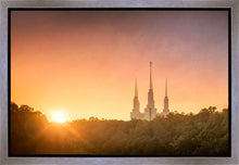Load image into Gallery viewer, Washington DC Sunset Gold
